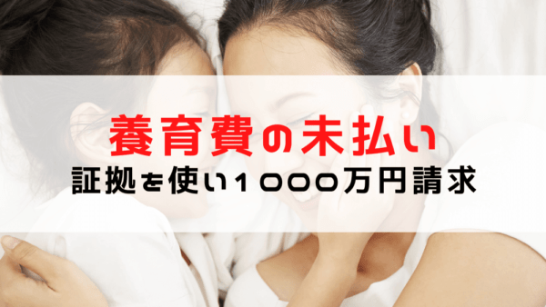 【養育費の未払い】子供を守る為に浮気の証拠で1000万円の請求！