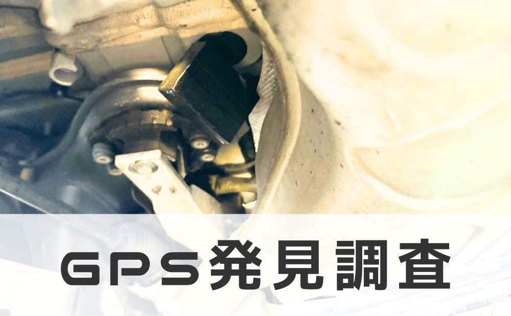 GPS発見調査