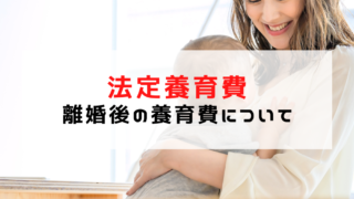 離婚後の子どもの養育費「法定養育費」について
