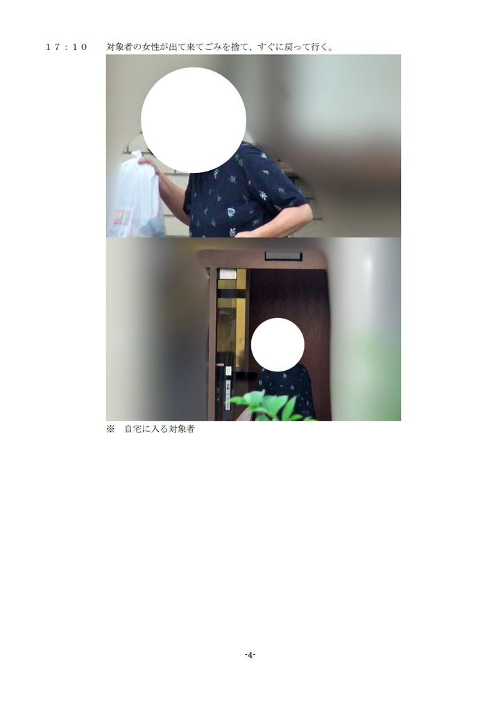 アーカス探偵事務所の調査報告書　概要