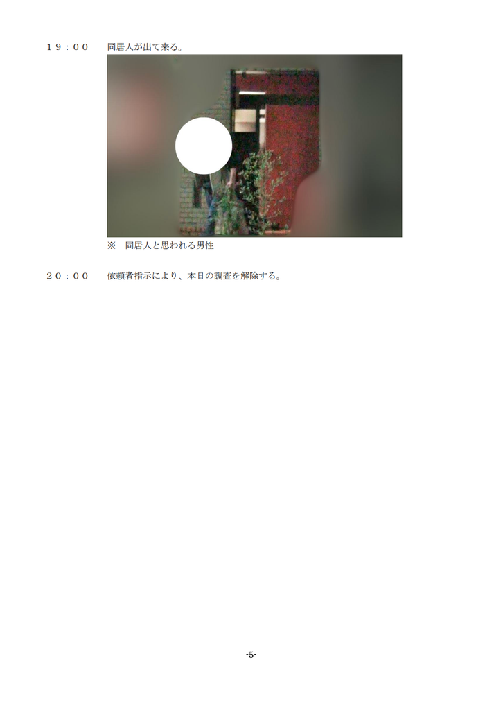 アーカス探偵事務所の調査報告書　概要