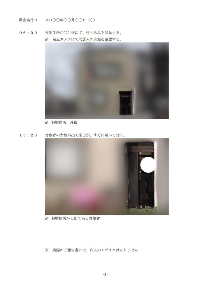 アーカス探偵事務所の調査報告書　概要